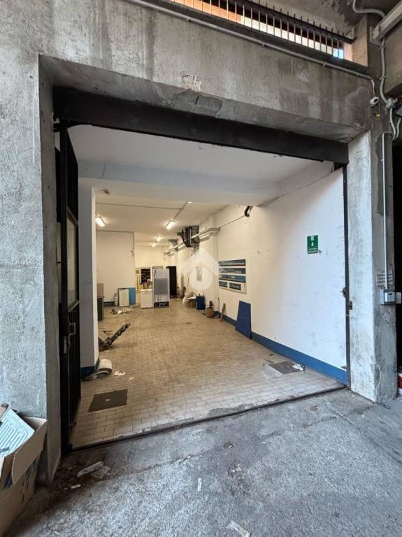 immagine annuncio 2 di 12