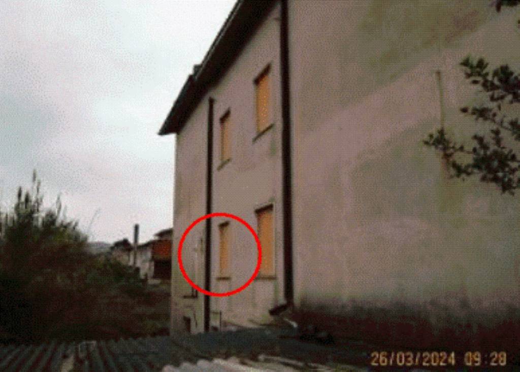 immagine annuncio 5 di 12