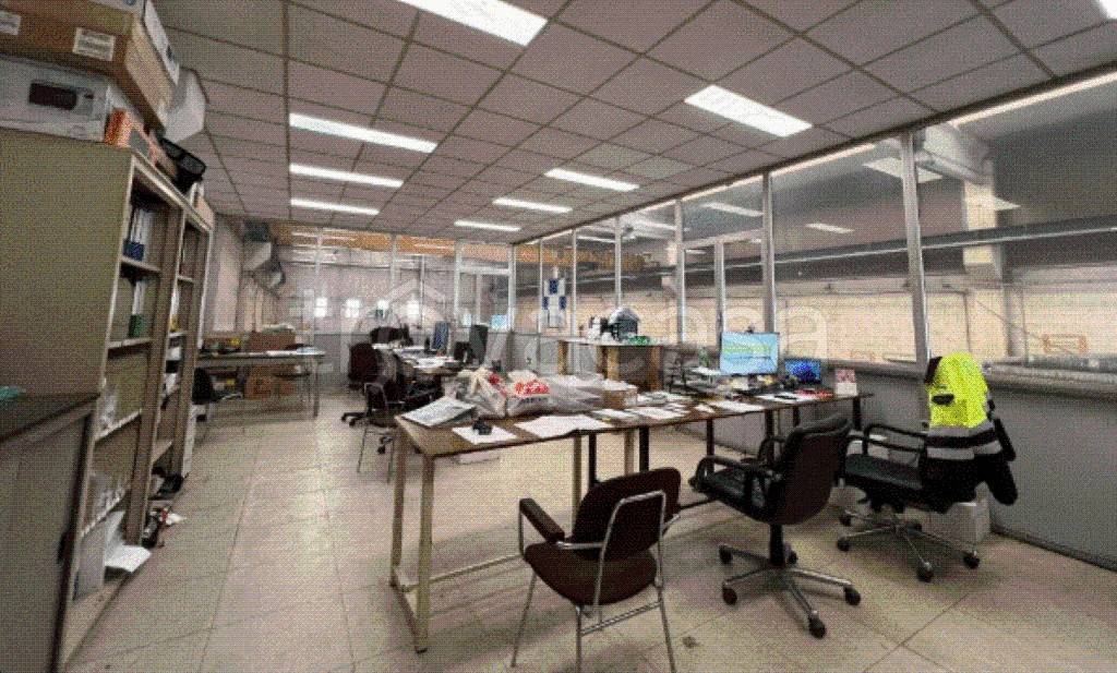 immagine annuncio 11 di 12
