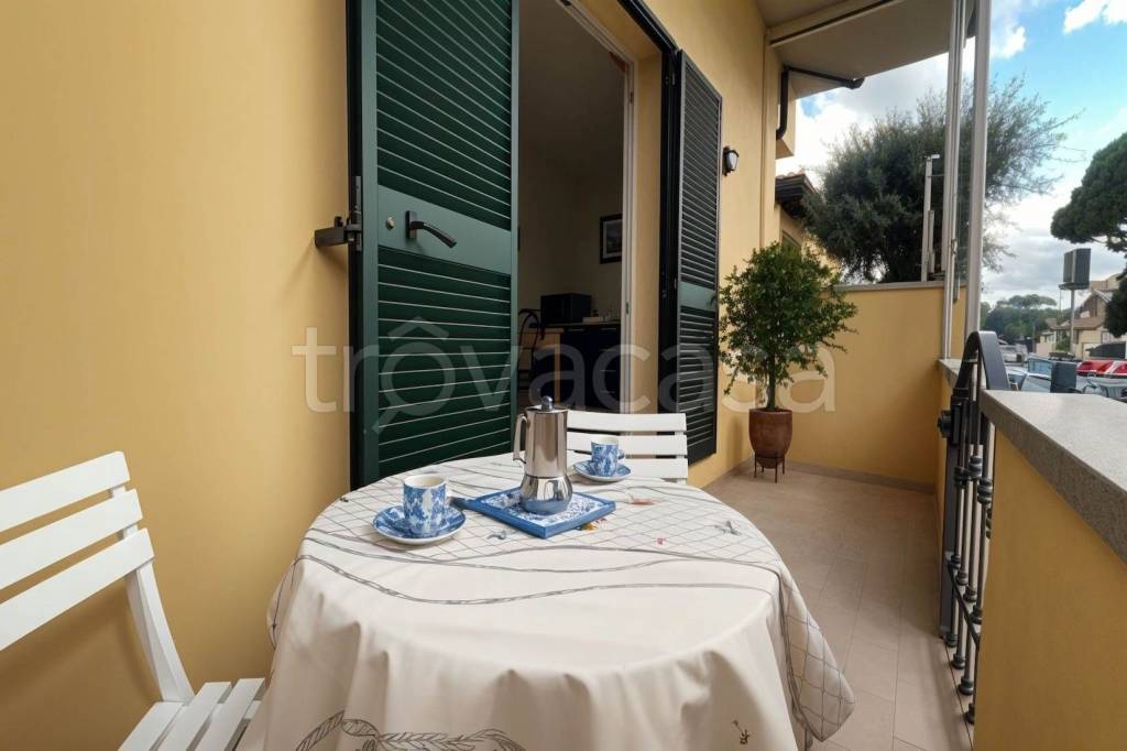 immagine annuncio 0 di 15