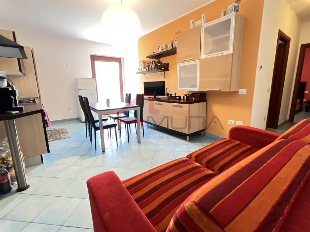 immagine annuncio 12 di 14