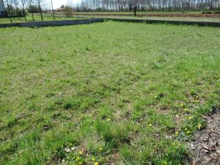 Terreno residenziale in vendita a trevignano via giovanni pascoli