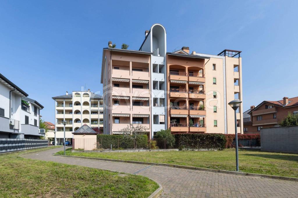 immagine annuncio 1 di 15
