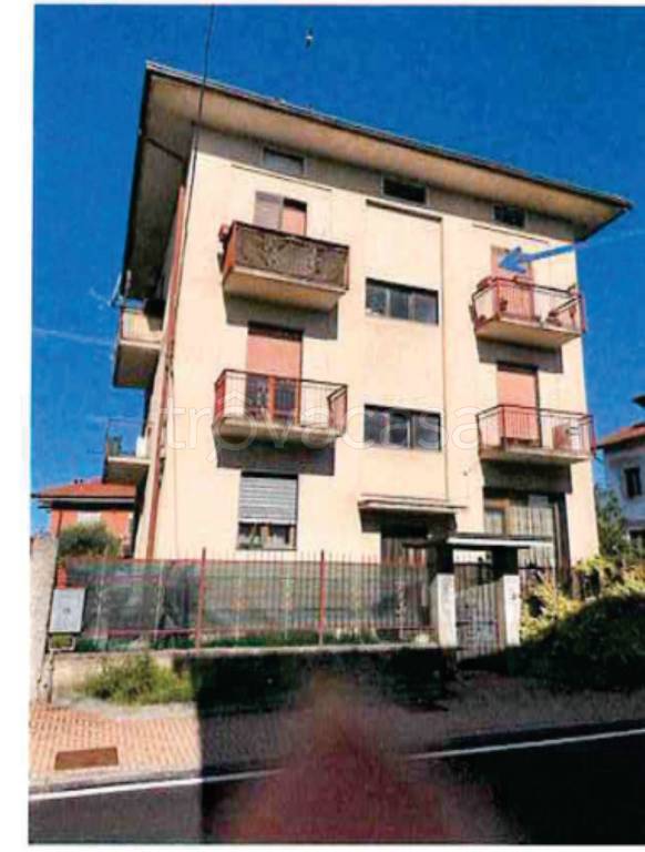 immagine annuncio 1 di 12