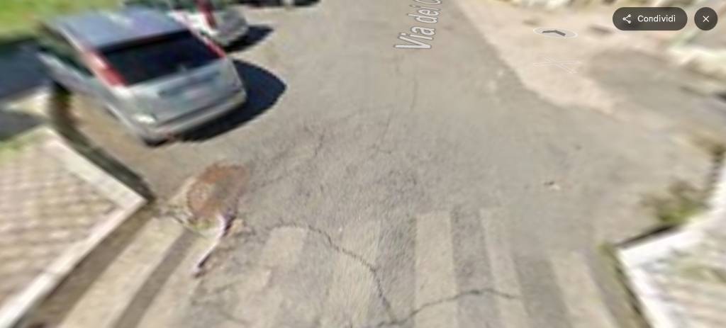 immagine annuncio 7 di 14