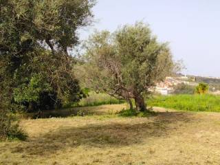 Terreno agricolo in vendita a condrò contrada licciardo