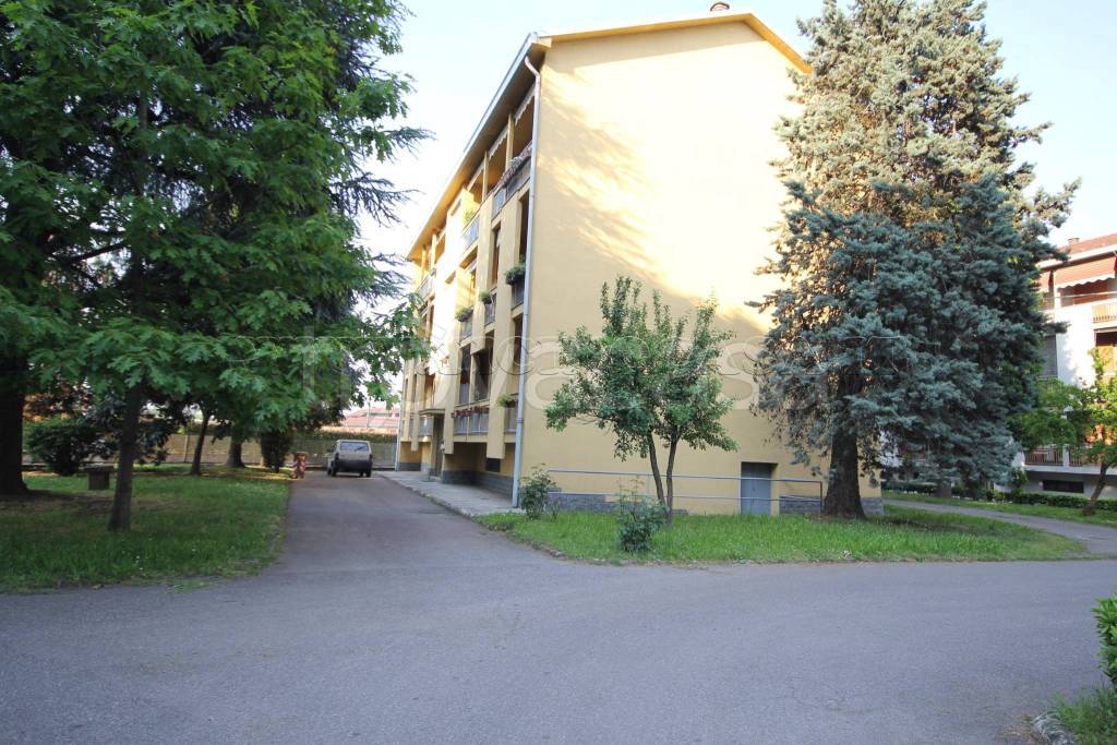 immagine annuncio 9 di 12