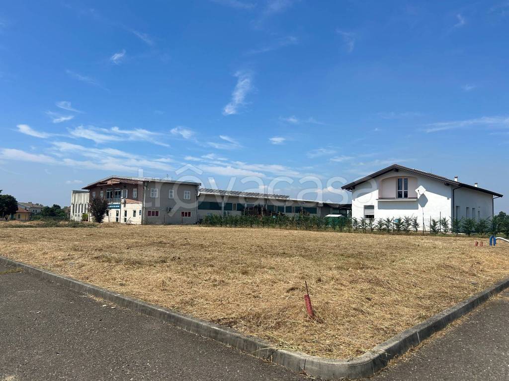 immagine annuncio 3 di 10