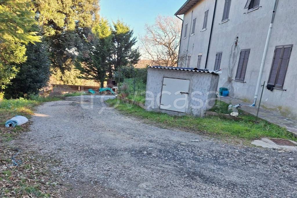 immagine annuncio 2 di 14