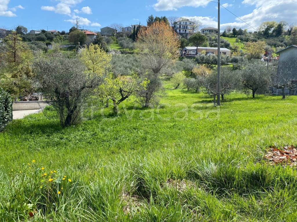 immagine annuncio 3 di 9
