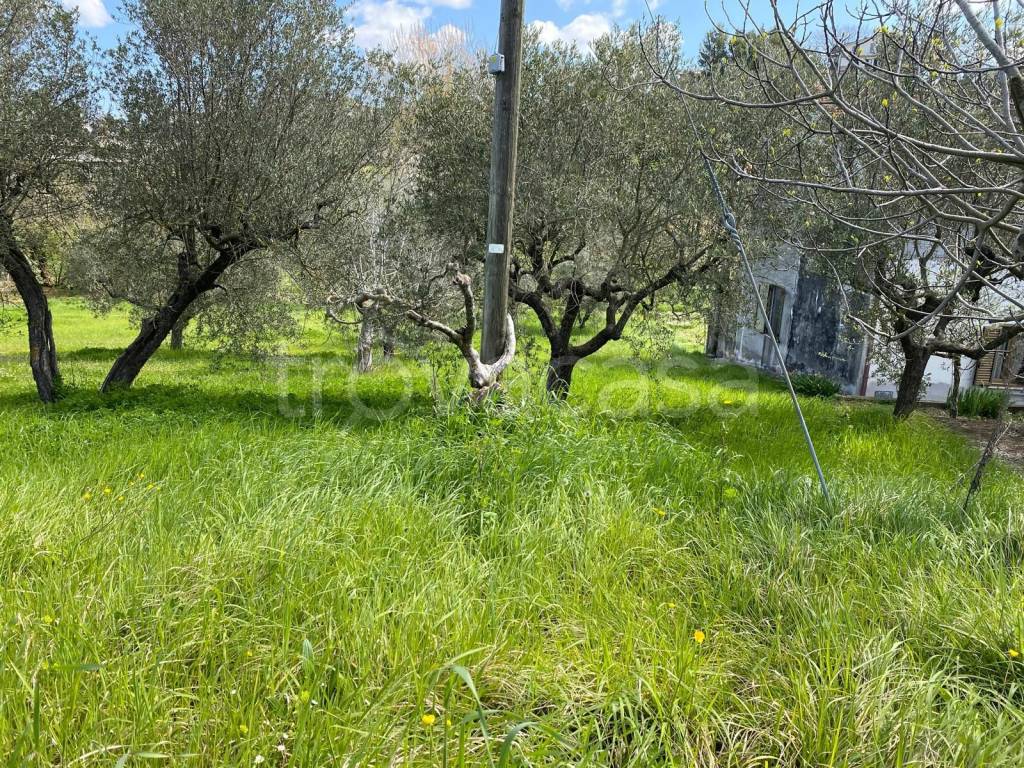 immagine annuncio 6 di 9