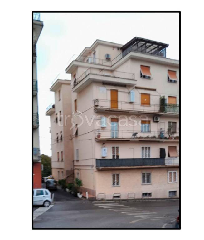 immagine annuncio 4 di 12