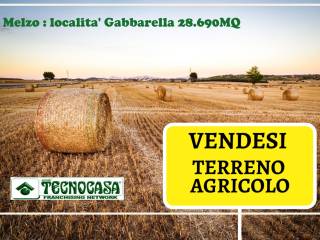 Terreno agricolo in vendita a cassina de' pecchi 