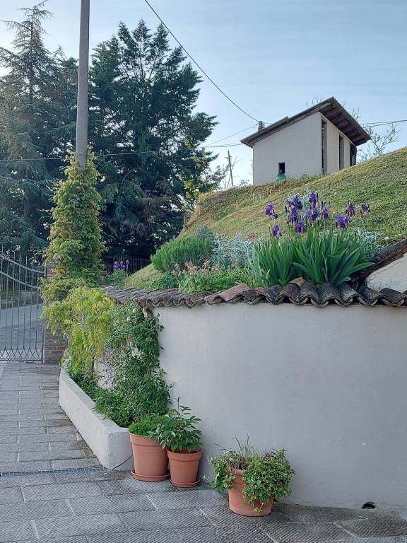 immagine annuncio 2 di 8