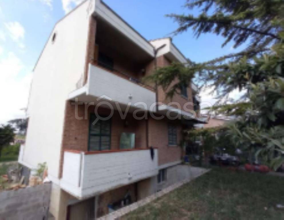immagine annuncio 3 di 11
