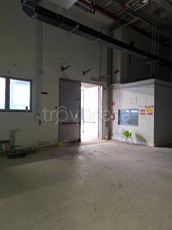 immagine annuncio 4 di 7