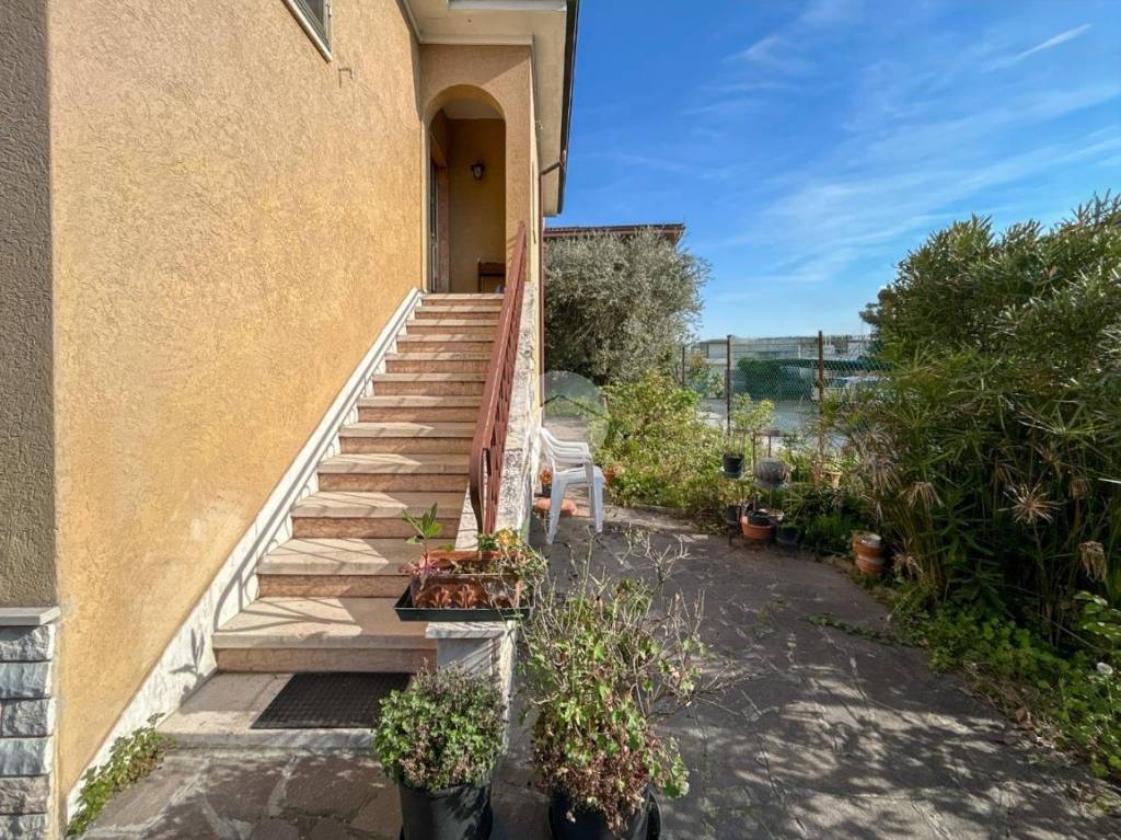 immagine annuncio 10 di 11