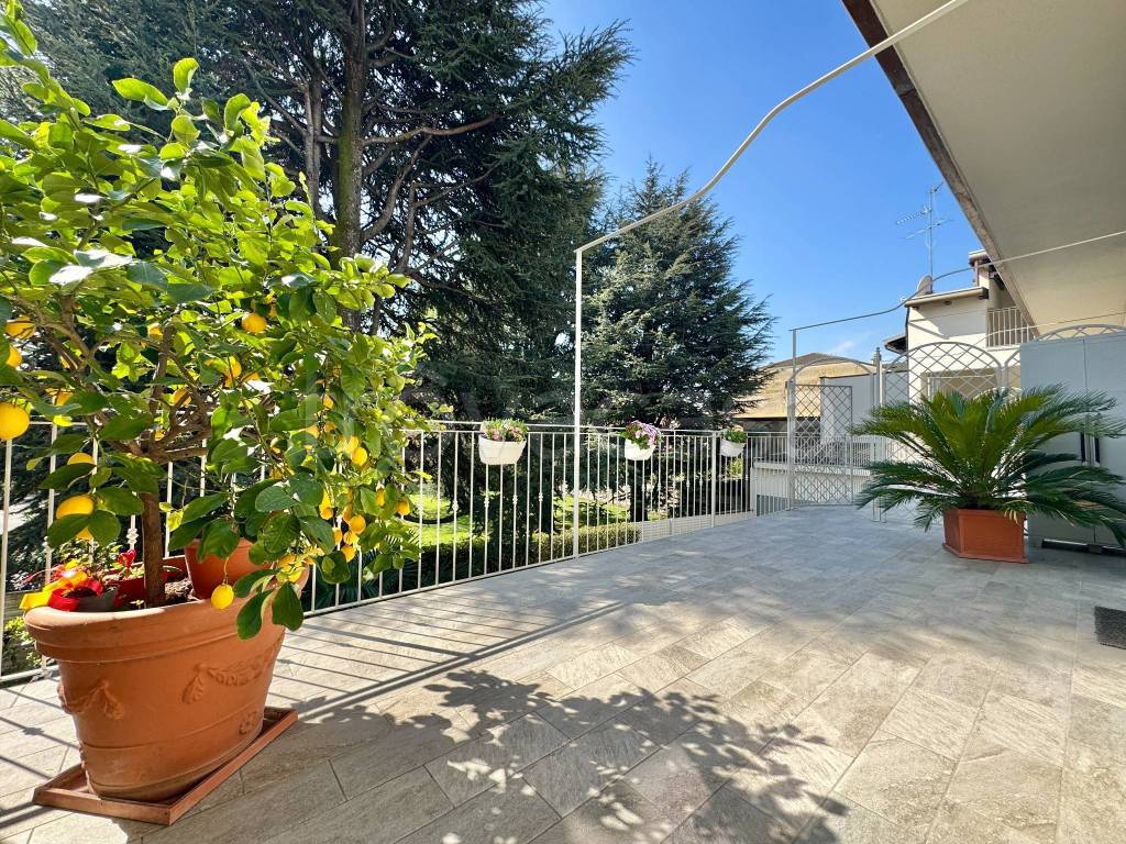 immagine annuncio 12 di 15