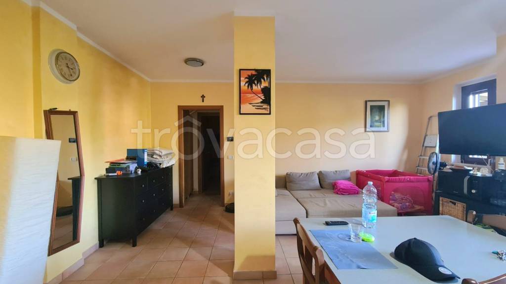 immagine annuncio 11 di 14