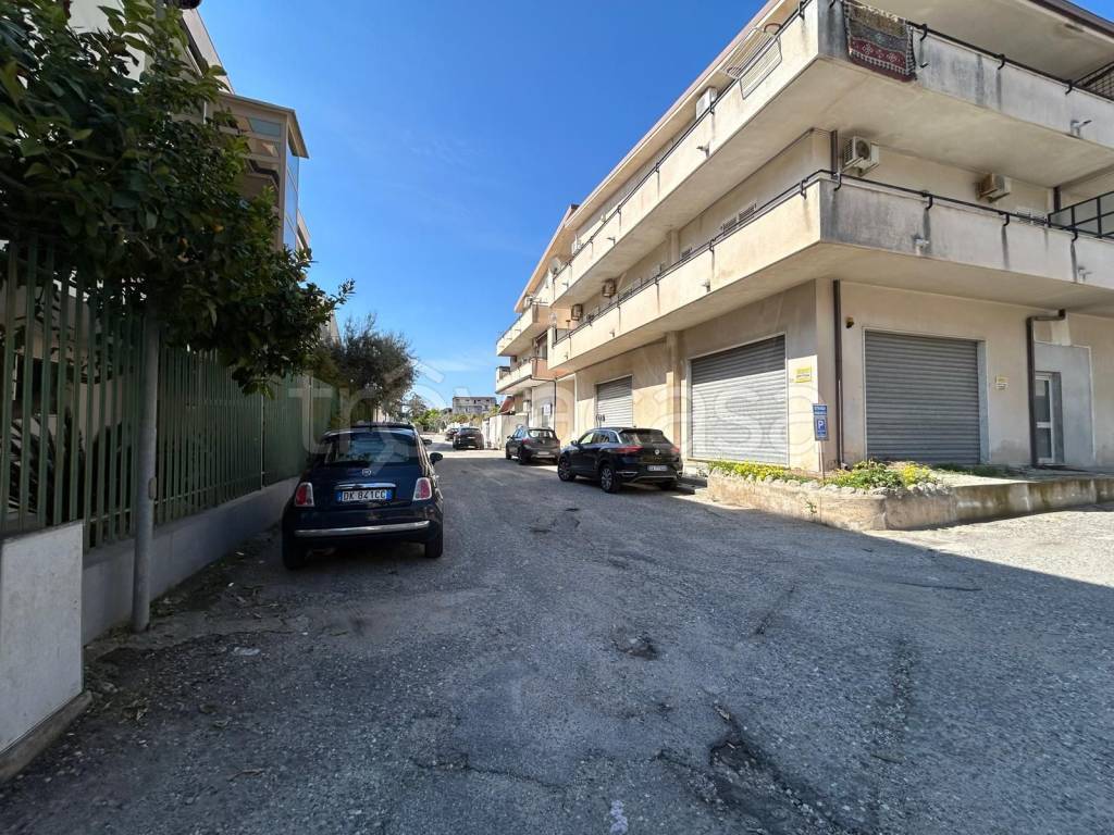 immagine annuncio 1 di 6