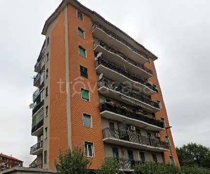 immagine annuncio 5 di 8