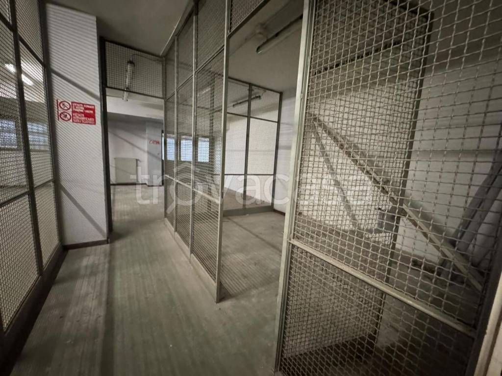 immagine annuncio 4 di 13