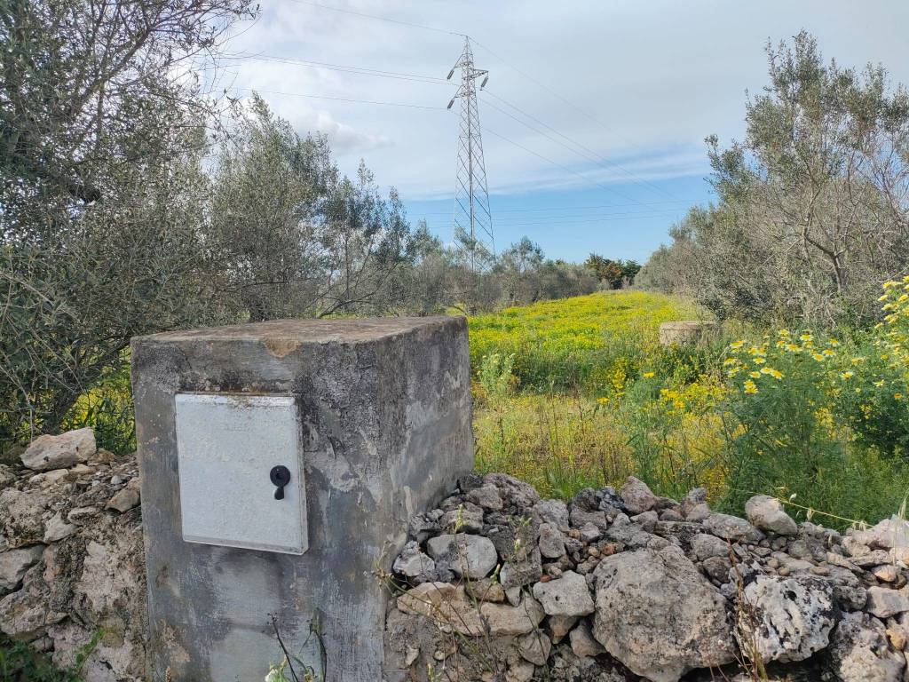 immagine annuncio 6 di 7