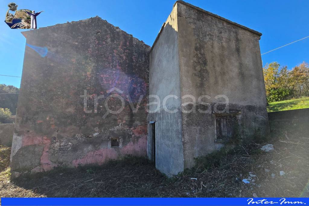 immagine annuncio 7 di 14