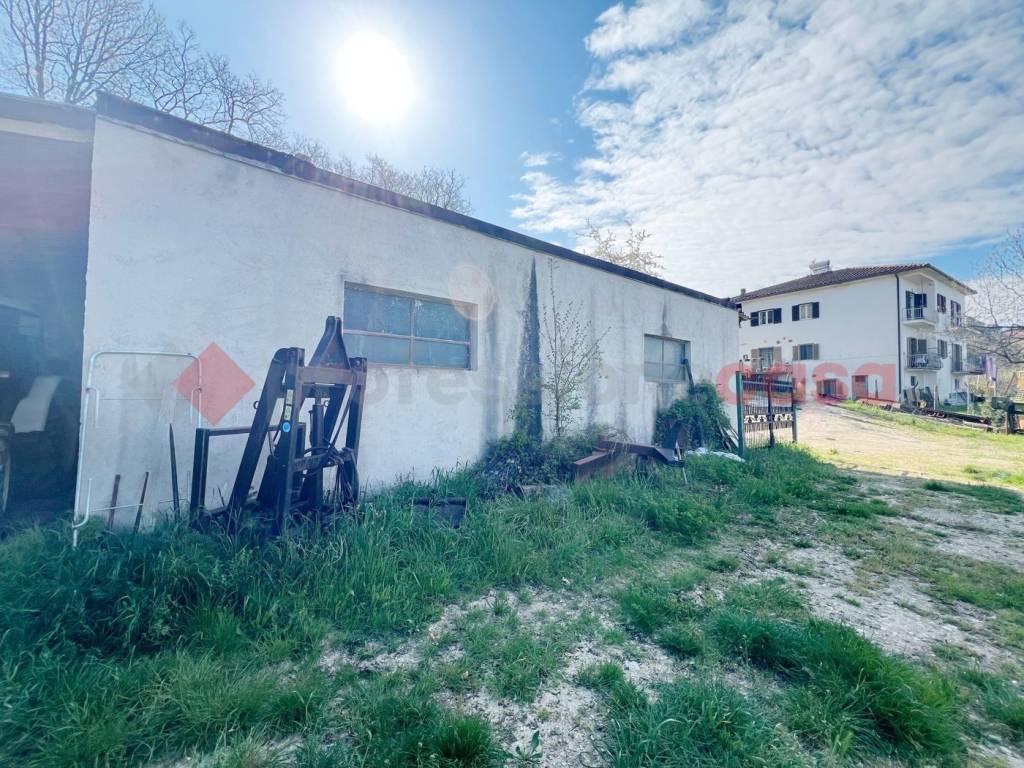 immagine annuncio 5 di 11