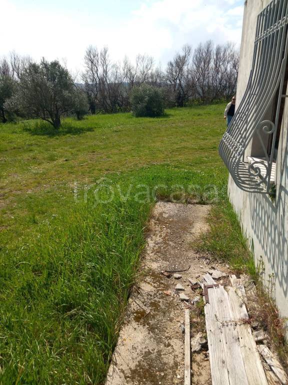 immagine annuncio 5 di 7