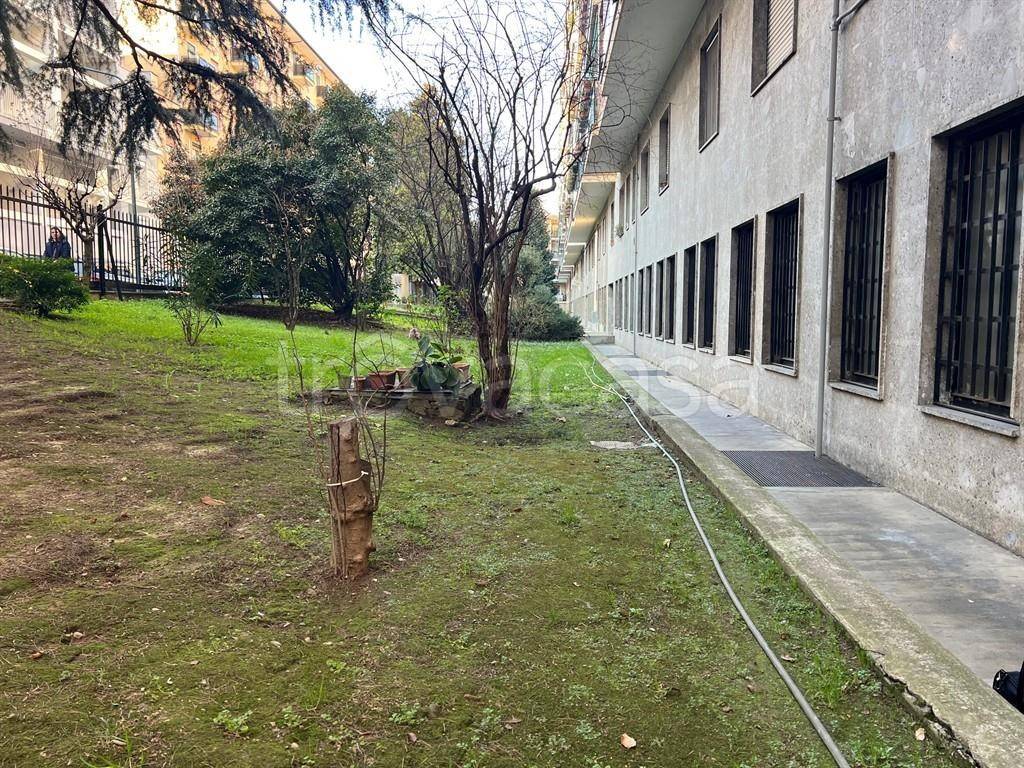 immagine annuncio 6 di 12