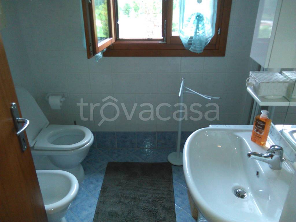 immagine annuncio 7 di 14