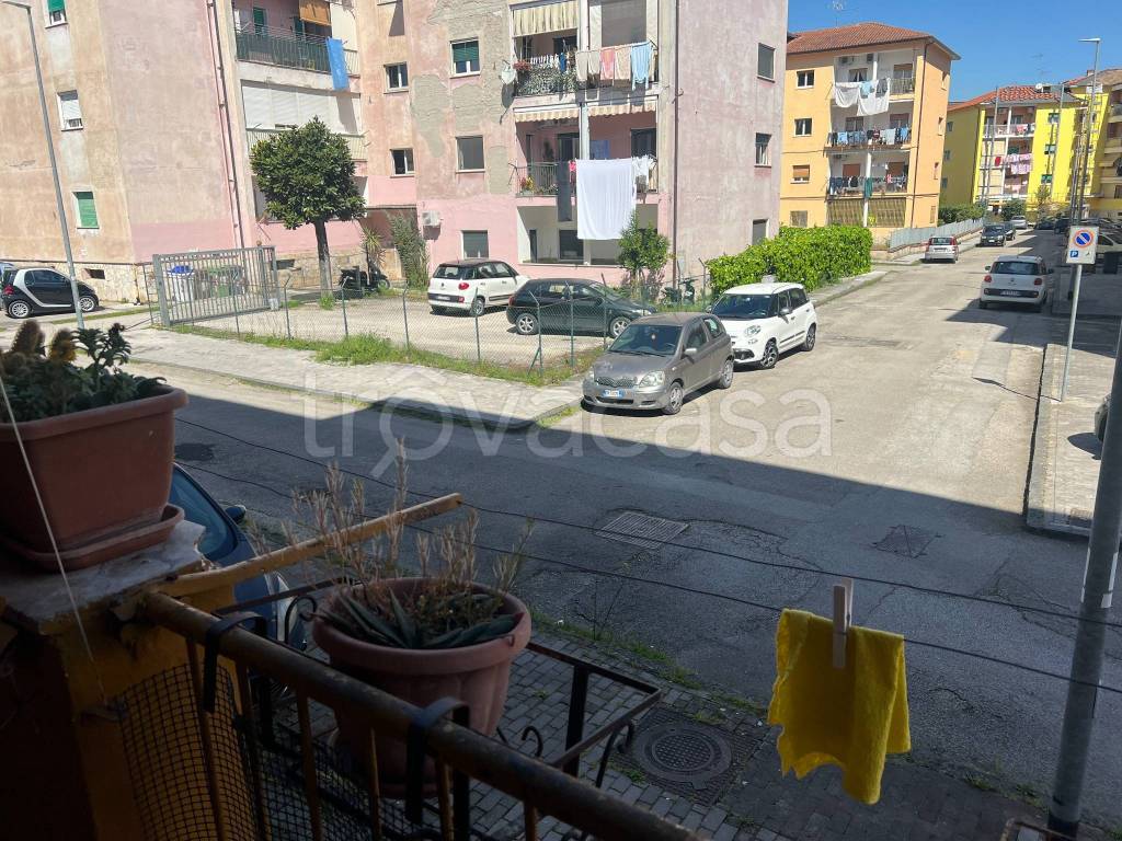 immagine annuncio 6 di 14