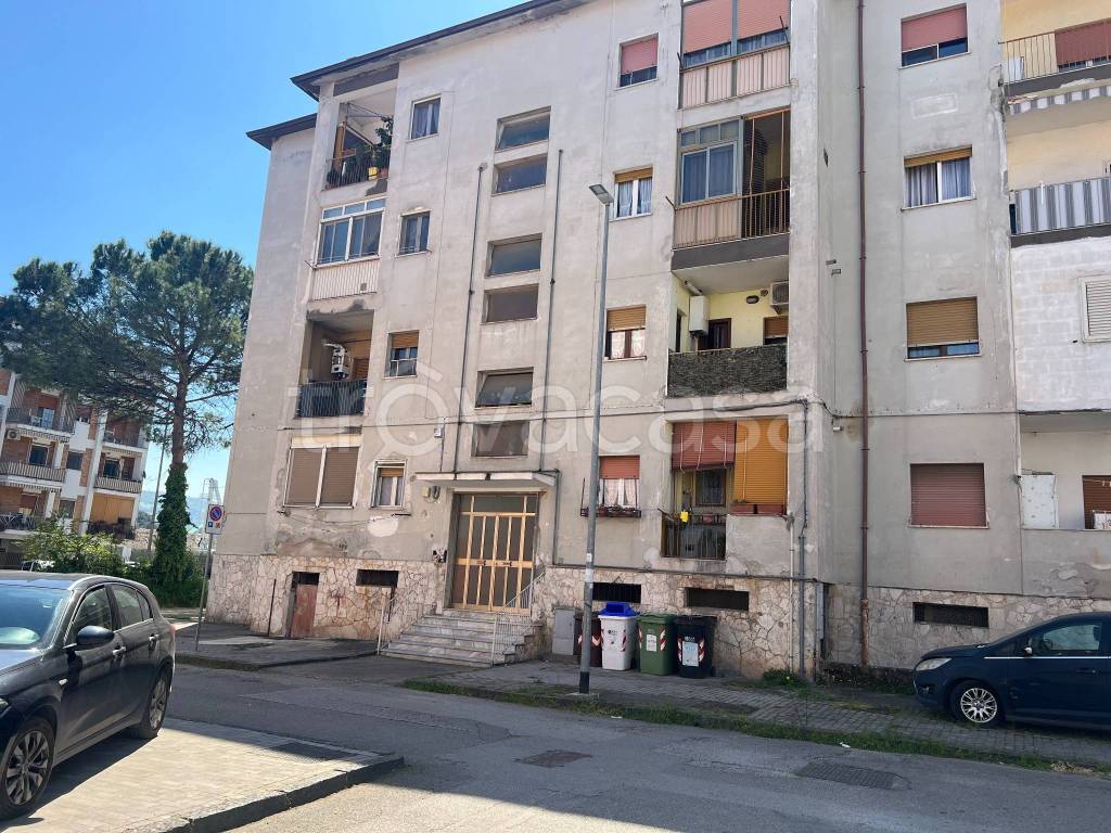 immagine annuncio 13 di 14
