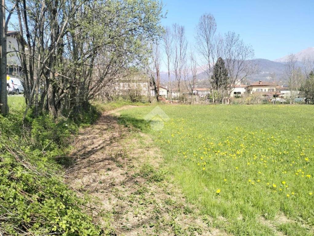 immagine annuncio 7 di 14