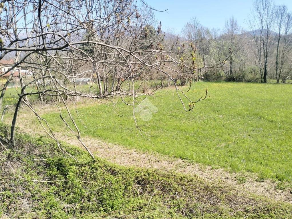 immagine annuncio 12 di 14