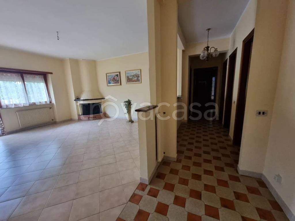 immagine annuncio 1 di 6