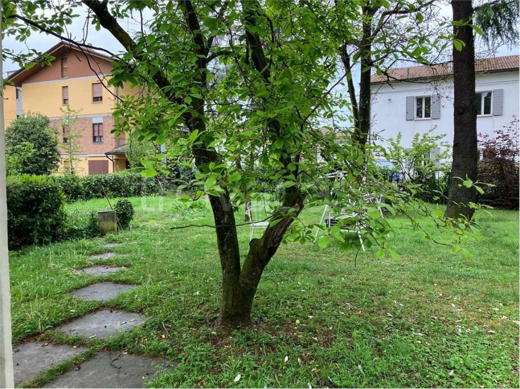 immagine annuncio 5 di 8