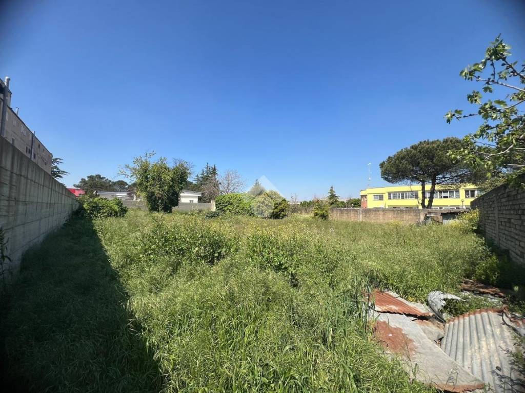 immagine annuncio 11 di 13