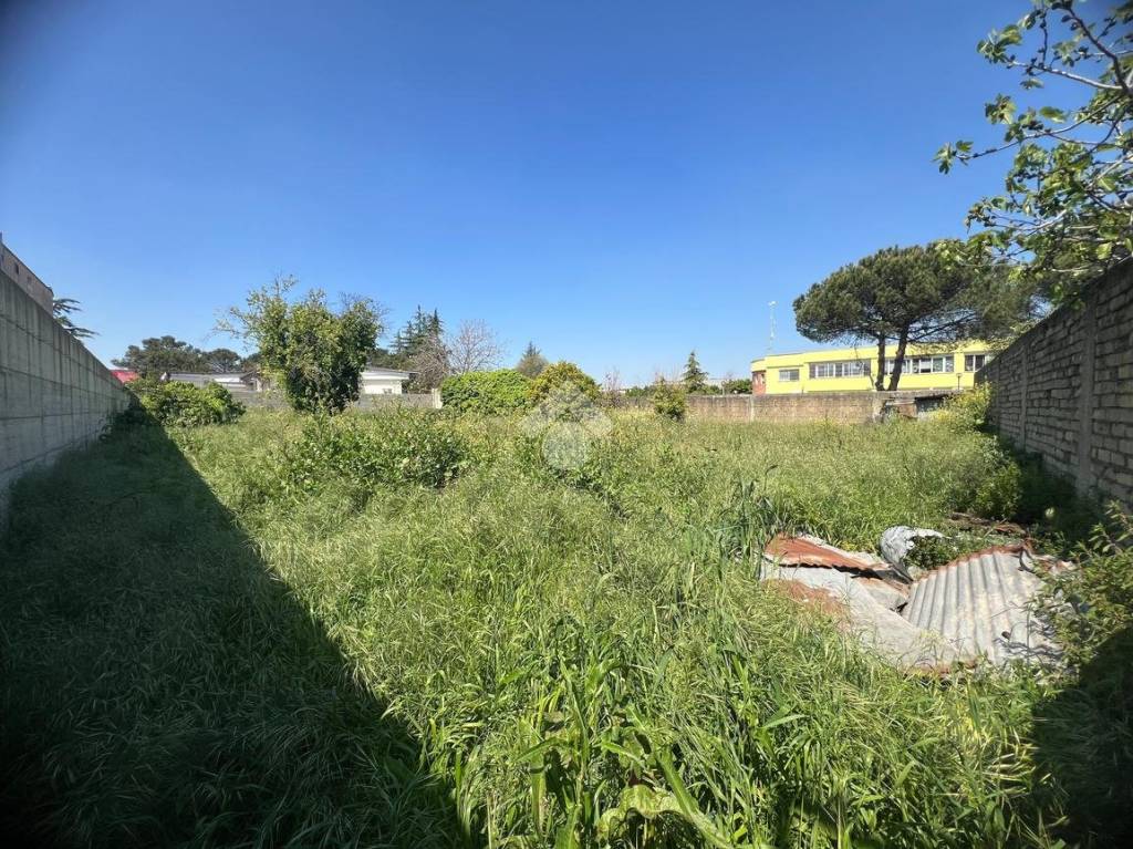 immagine annuncio 12 di 13