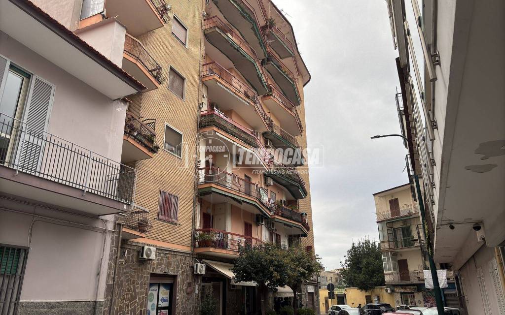 immagine annuncio 10 di 12