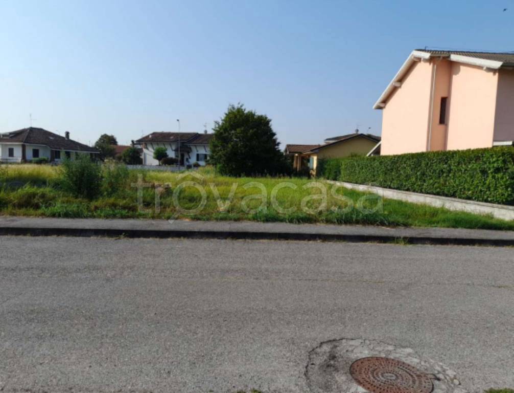 immagine annuncio 1 di 11