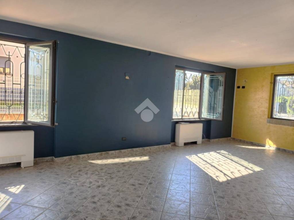 immagine annuncio 5 di 14