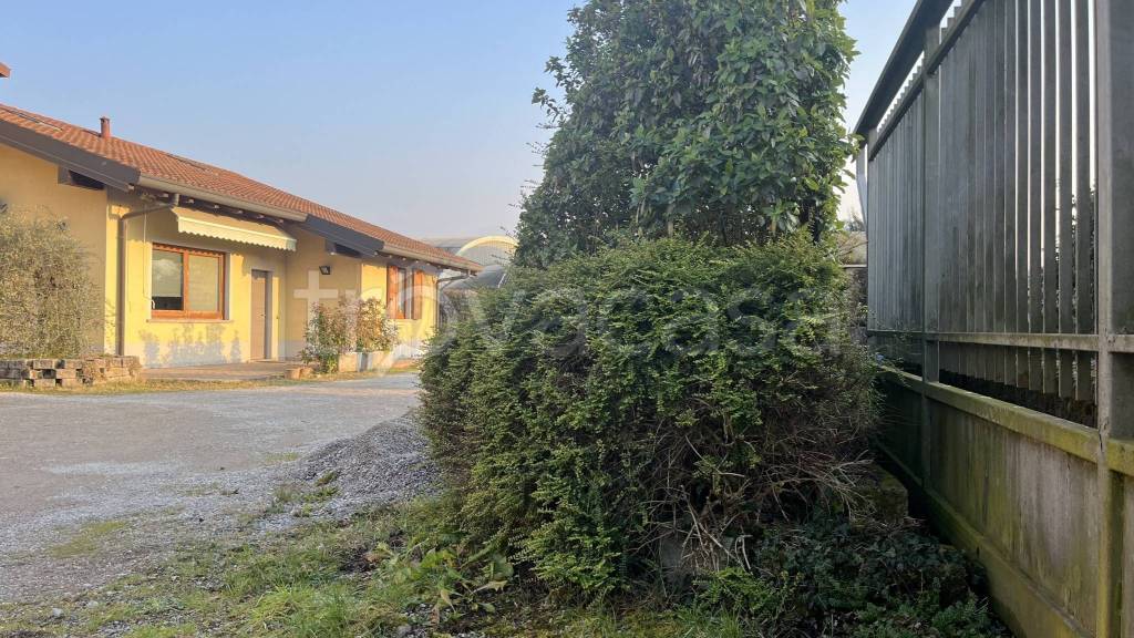 immagine annuncio 7 di 14