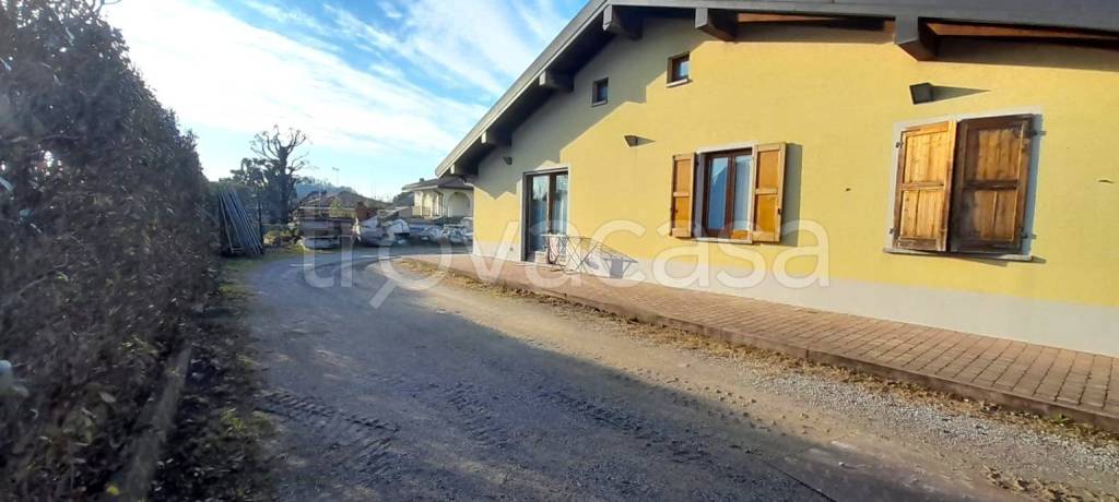immagine annuncio 11 di 14