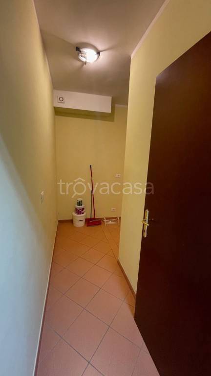 immagine annuncio 5 di 14