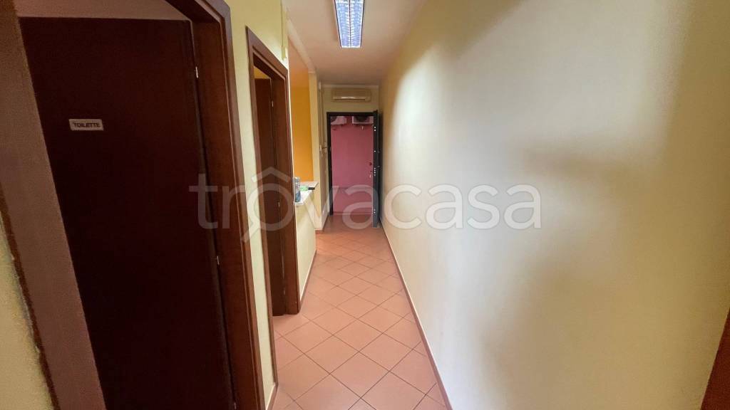 immagine annuncio 12 di 14