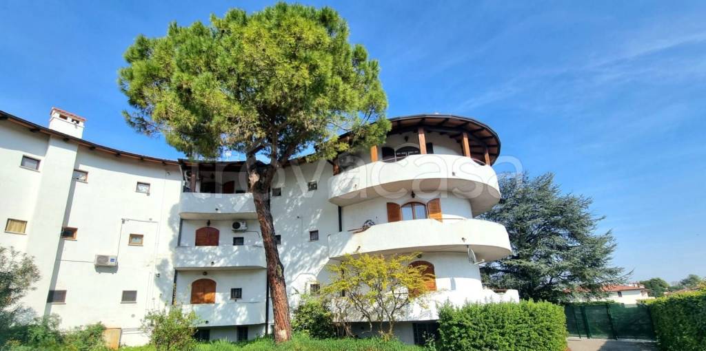 immagine annuncio 1 di 13