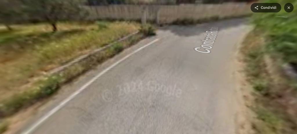immagine annuncio 7 di 14