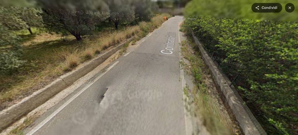 immagine annuncio 8 di 14